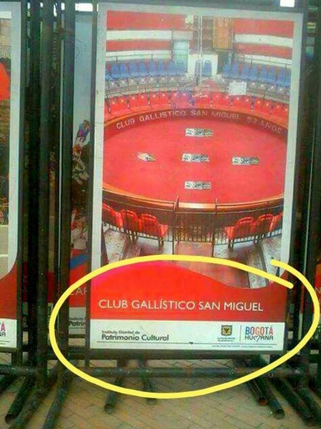 Doña Esmeralda, ¿por qué las peleas de gallos fueron "patrimonio cultural" durante la alcaldía de Petro?