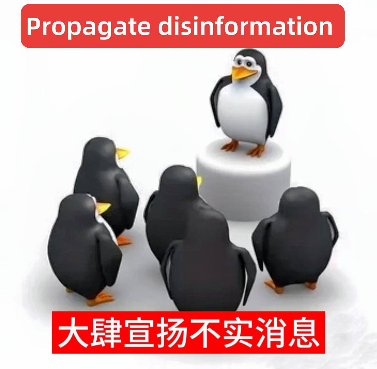 World Record Bit tweet media