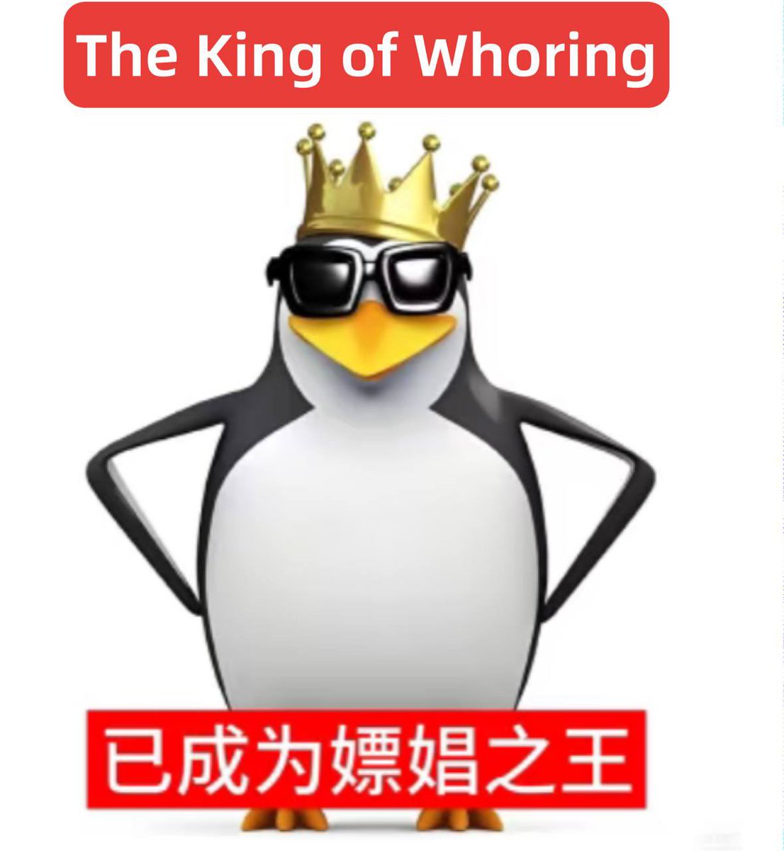 World Record Bit tweet media