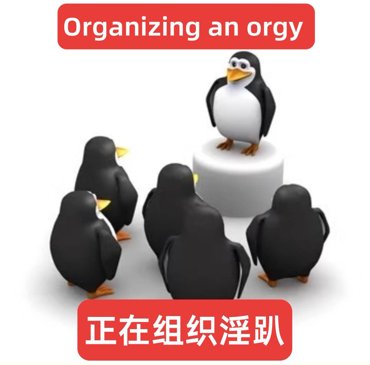 World Record Bit tweet media