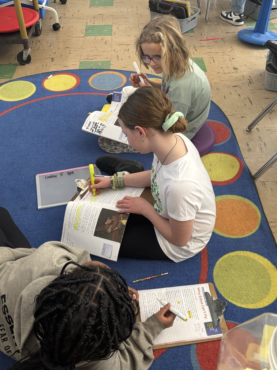 Mrs. Sternberg tweet media