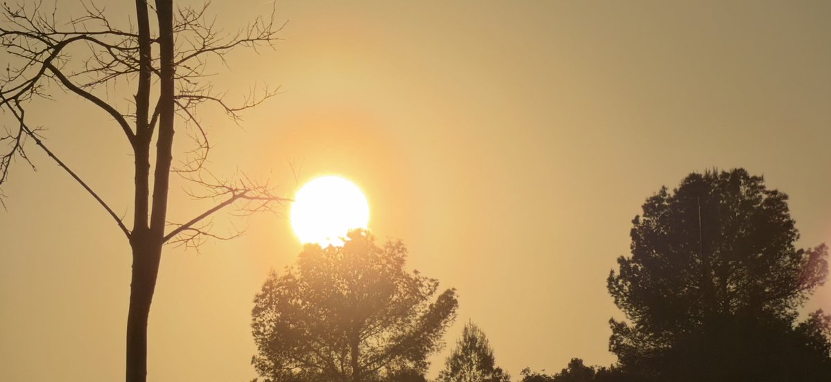 EL CLIMA EN TIEMPO REAL tweet media