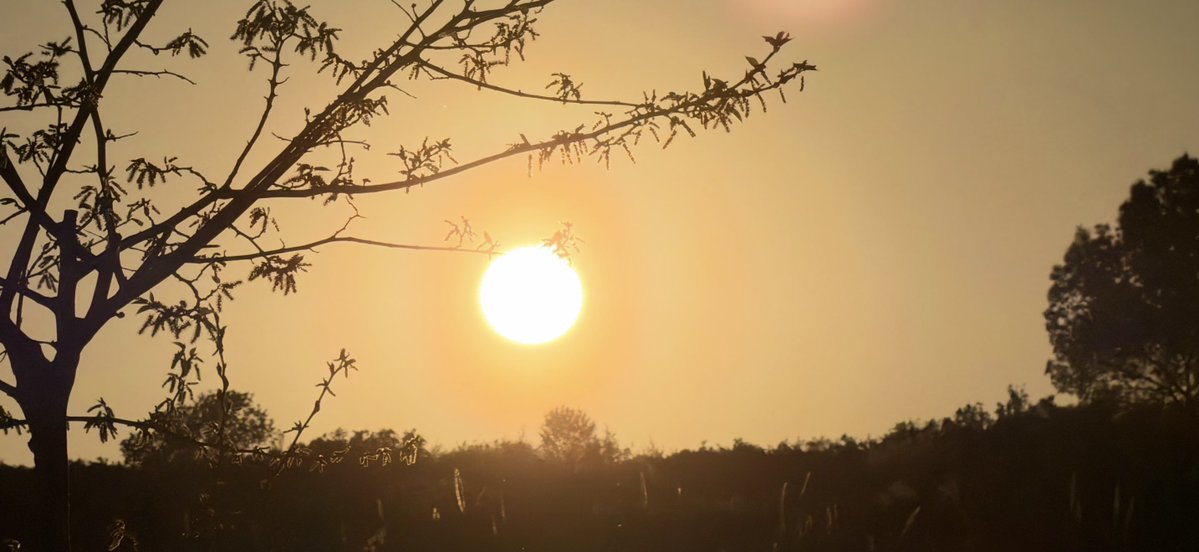 EL CLIMA EN TIEMPO REAL tweet media