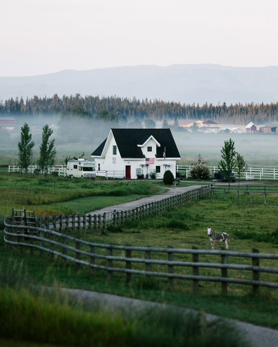 𝘄𝗮𝗻𝗱𝗲𝗿𝘁𝗿𝗮𝘃𝗲𝗹𝘀 tweet media