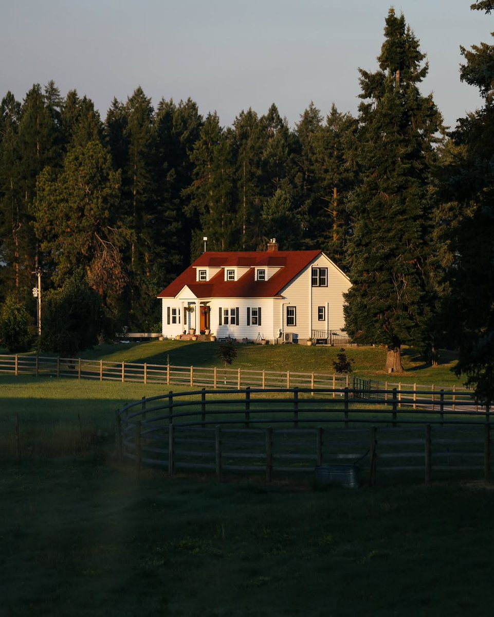 𝘄𝗮𝗻𝗱𝗲𝗿𝘁𝗿𝗮𝘃𝗲𝗹𝘀 tweet media