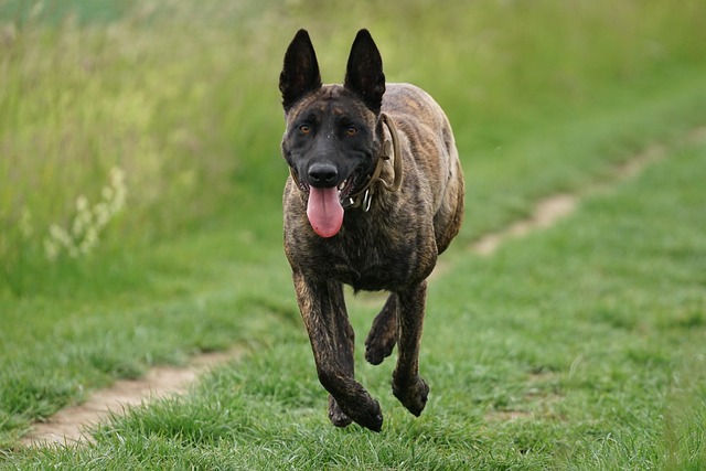 Trey Cabrera tweet media