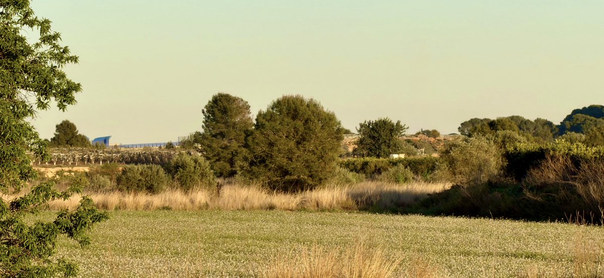 EL CLIMA EN TIEMPO REAL tweet media