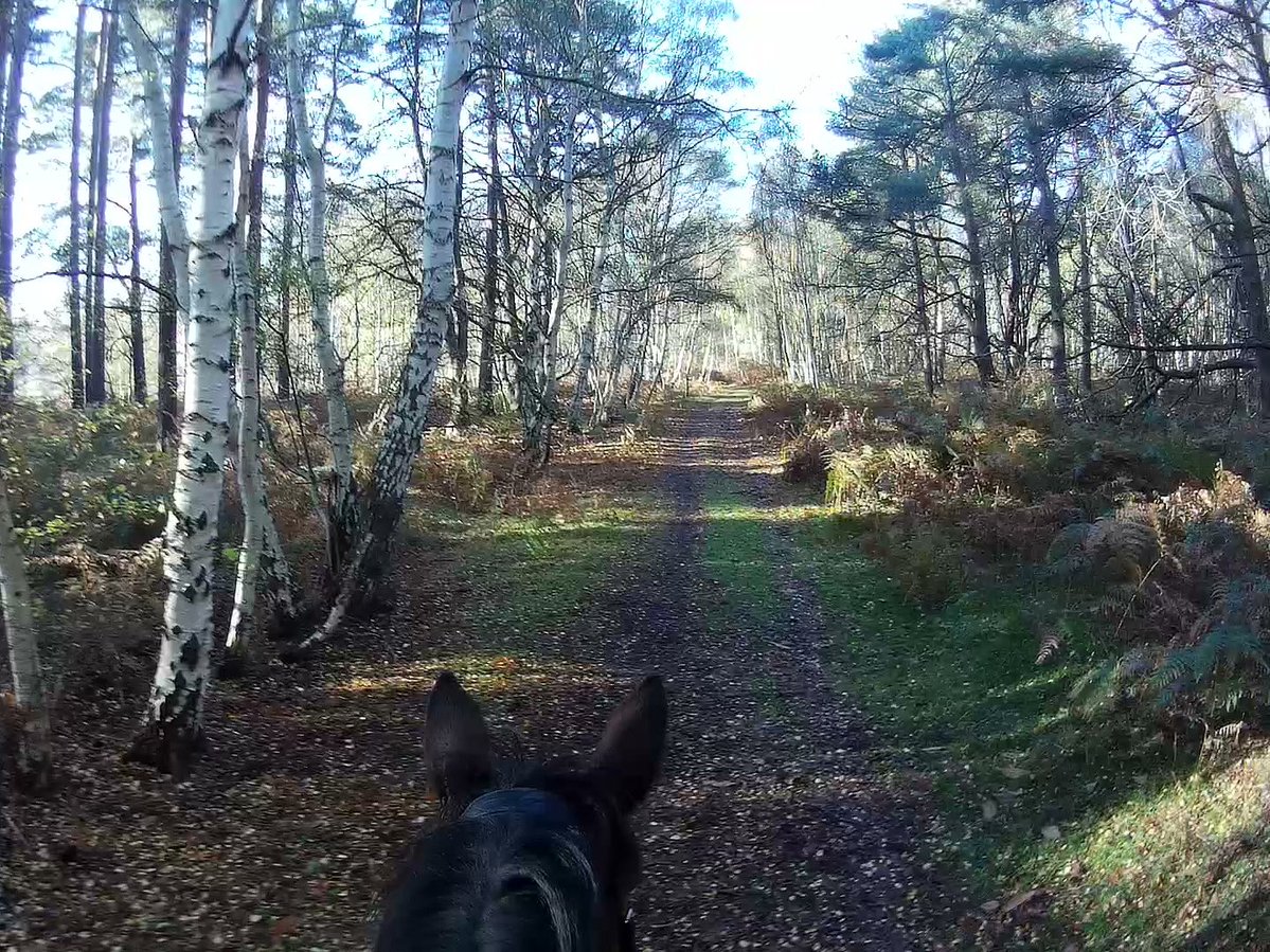 Em Jay (aka Tipsy Blowlightly) tweet media