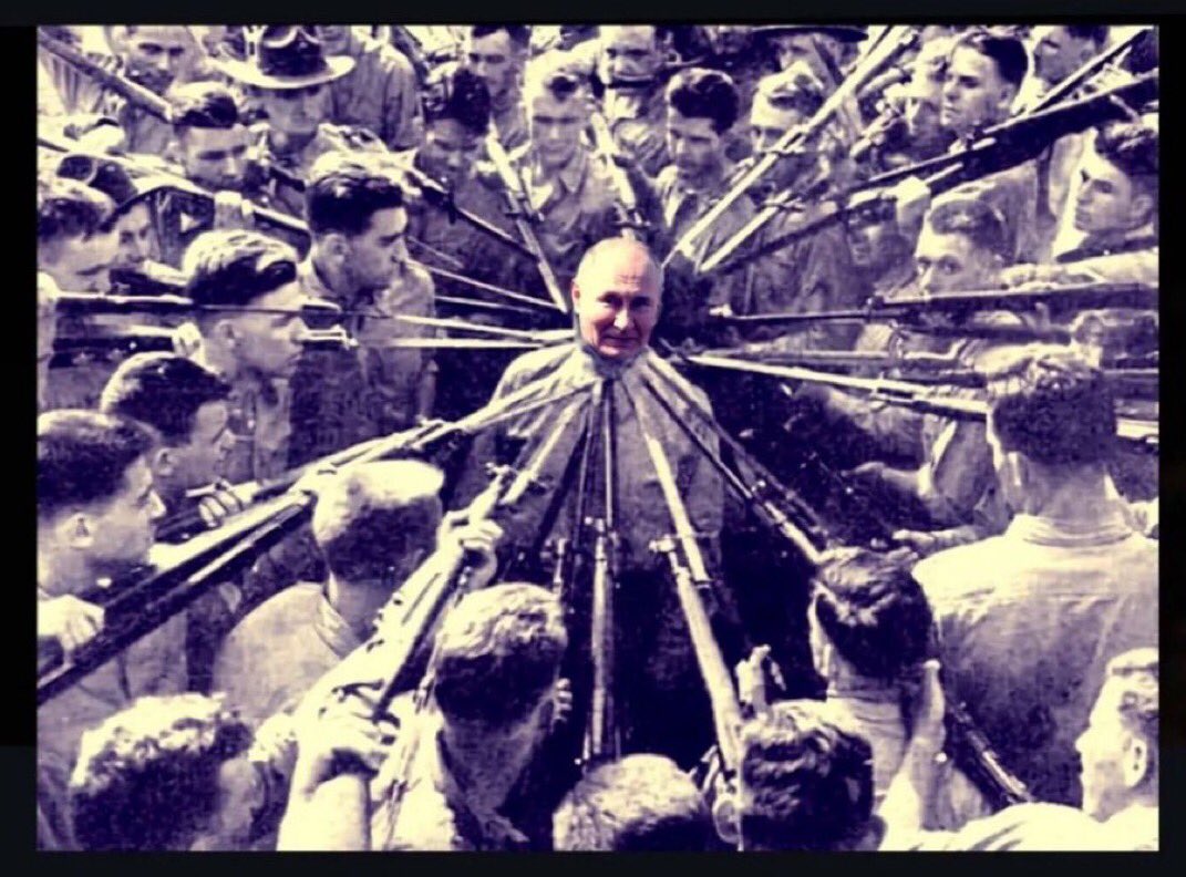 choucroute67 ou Kapusta67 🇺🇦 tweet media