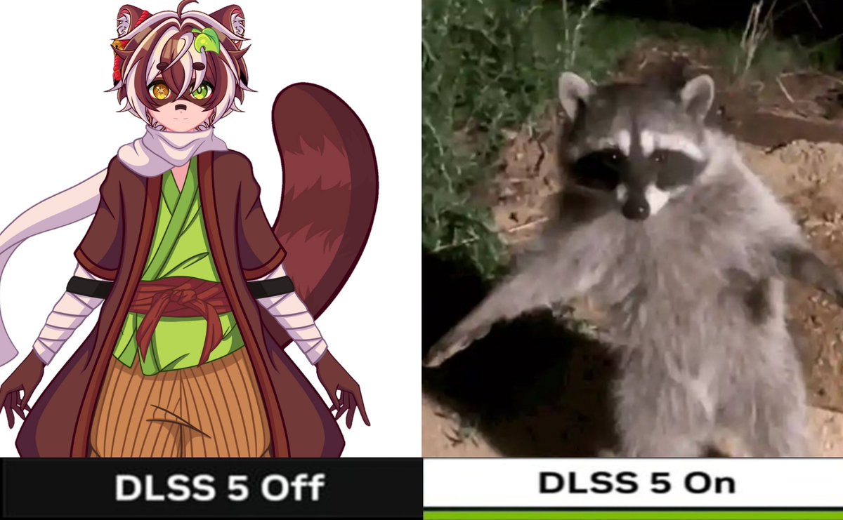 Rolo 🦝 ﾟ.+:｡ tweet media