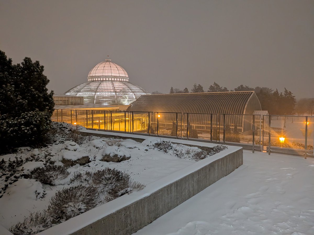 Como Zoo tweet media