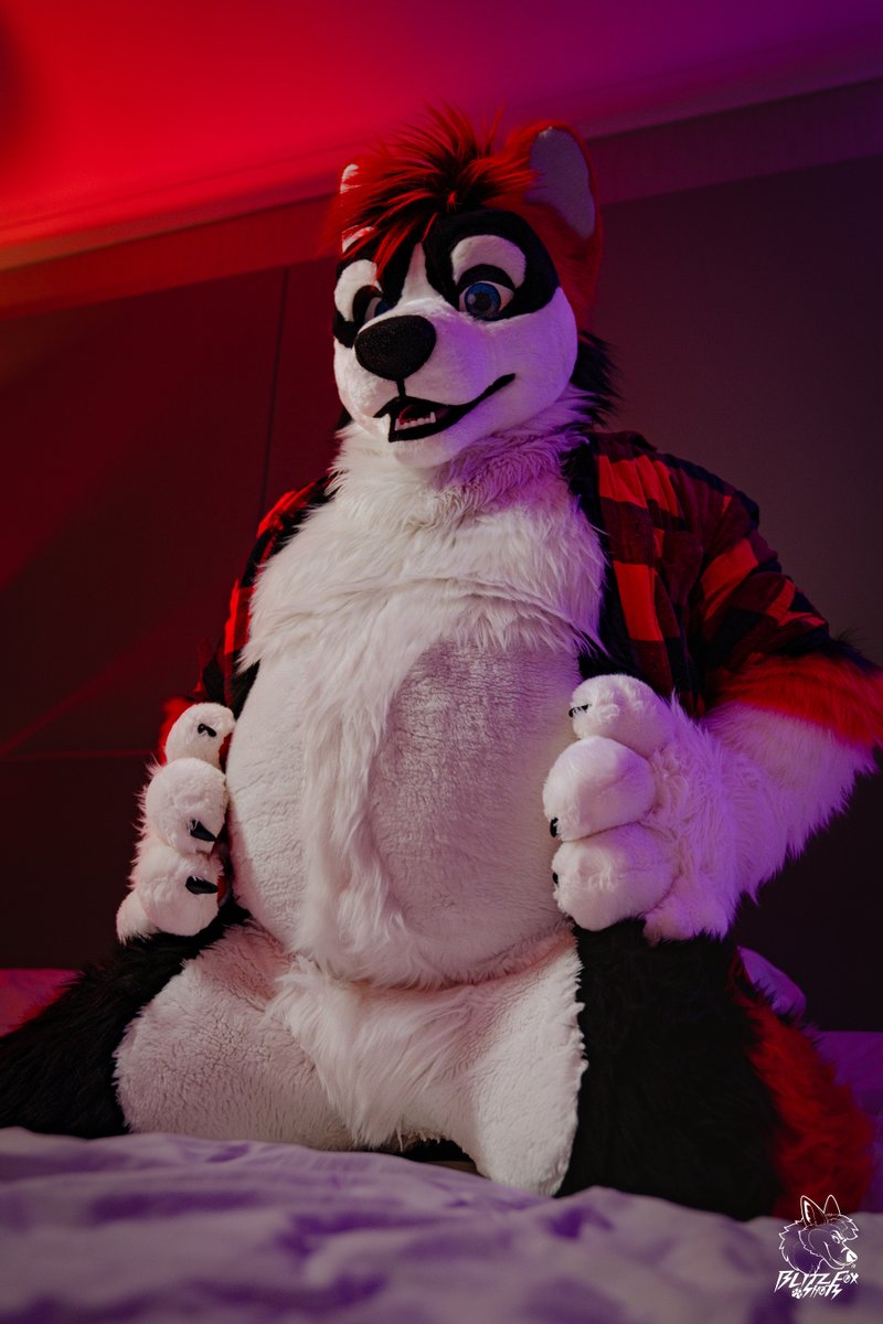Something something #TummyTuesday!

I don't know what to put with these honestly. Just sharing an awsum photo from amazing photographer 😅 - rub my tummy??

📸 <a href="/Blitz__Fox/">🐾BlitzFox🐾 🔜 CFz 26</a>