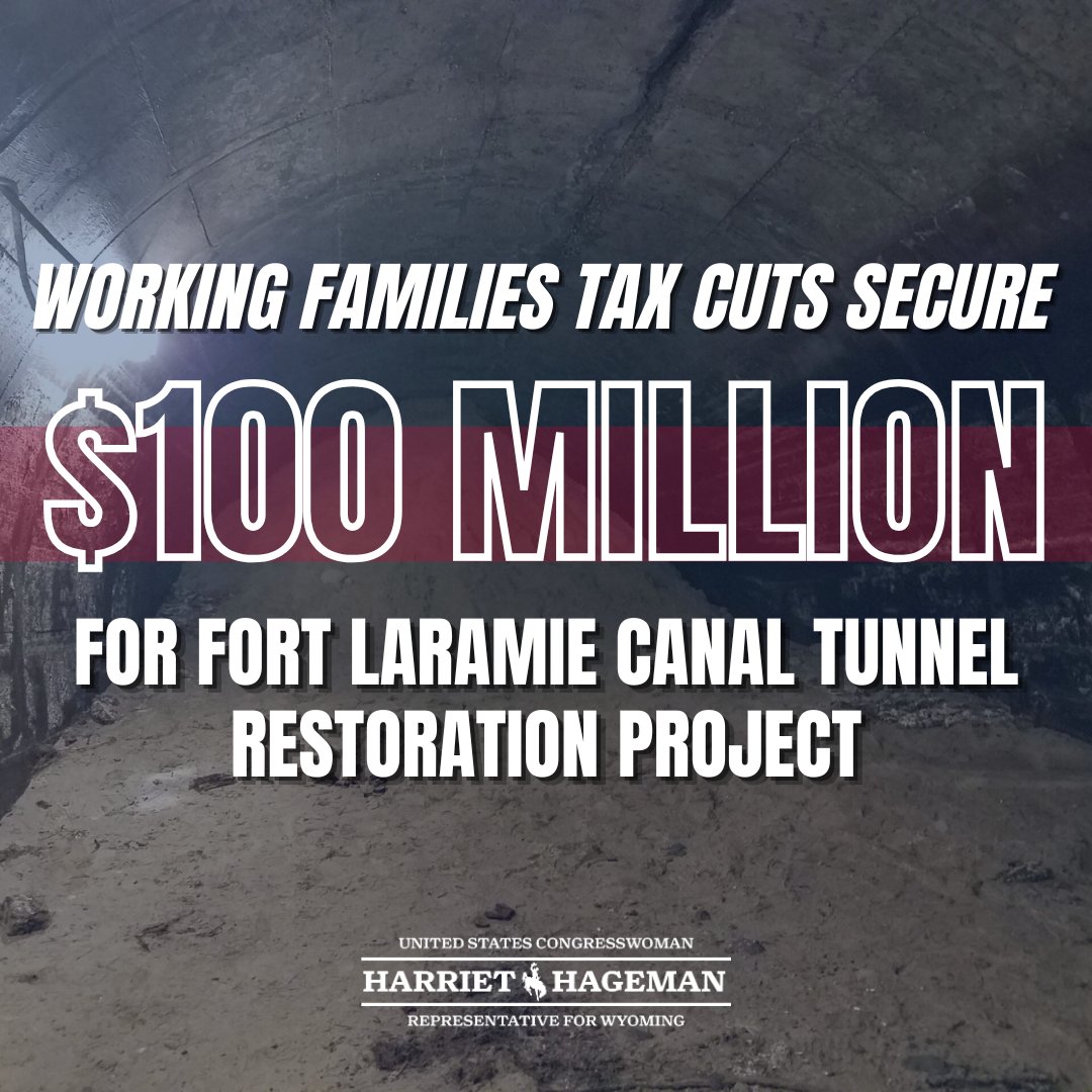 Rep. Harriet Hageman tweet media