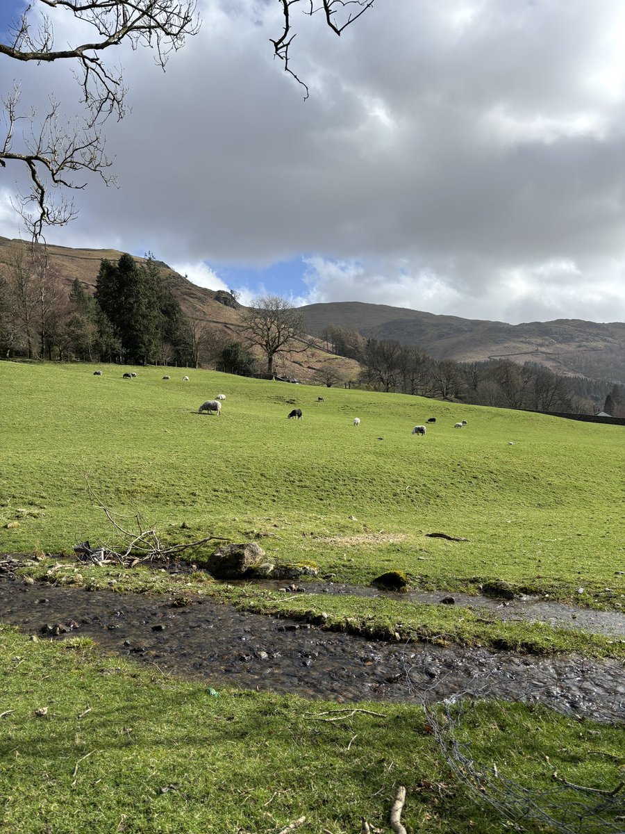 robyn 👼 tweet media