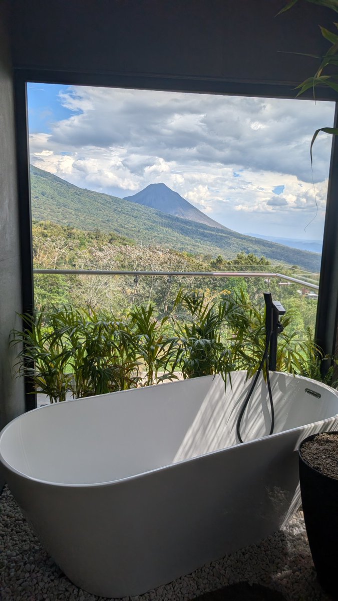 My Latin Life 🌴 tweet media