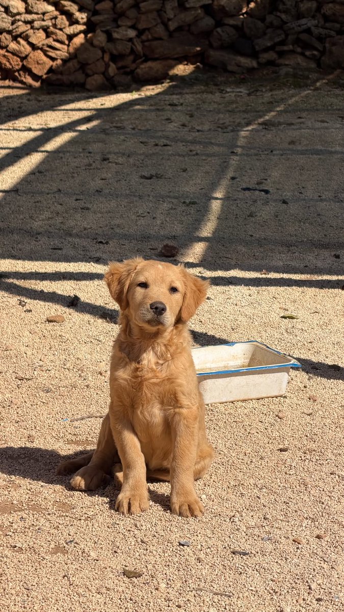 Stefania Spampinato Source tweet media