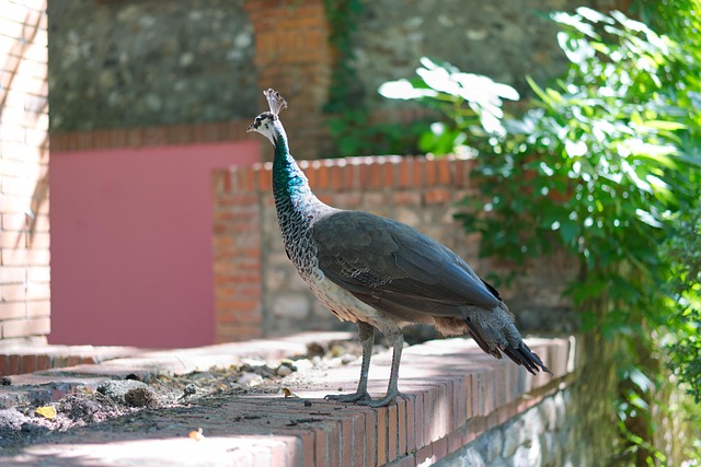 Jay Barajas tweet media