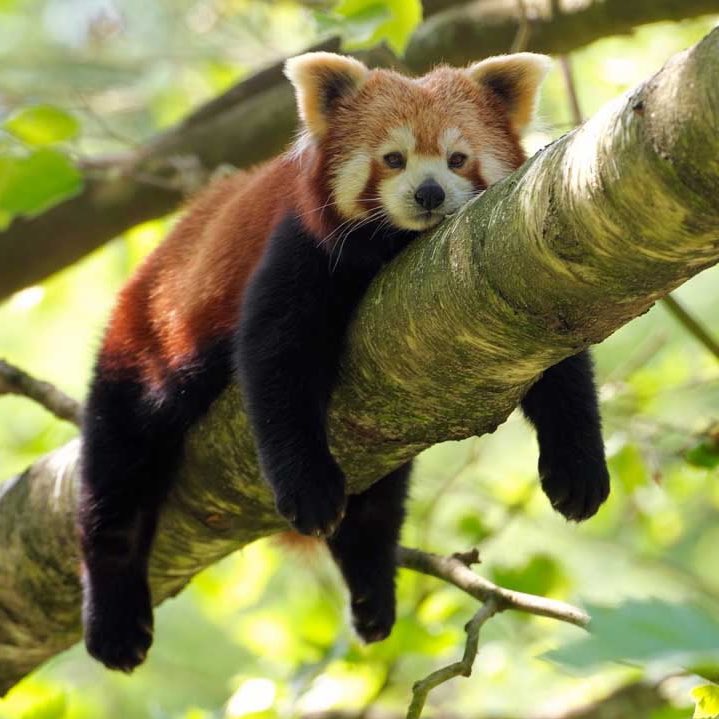 Λcrylae✭ tweet media