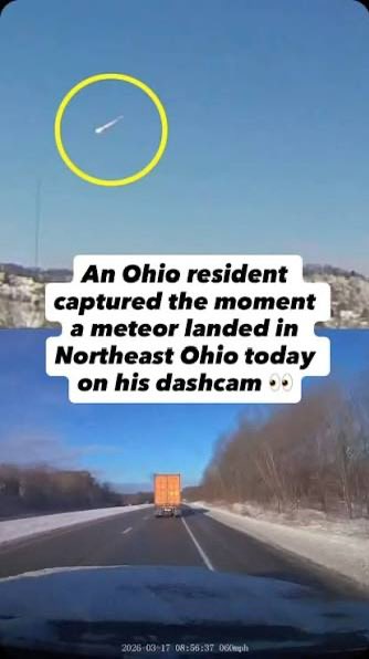 RIOT ✨Voice Comms OPEN! tweet media