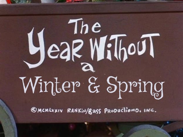 Americana at Brand Memes tweet media