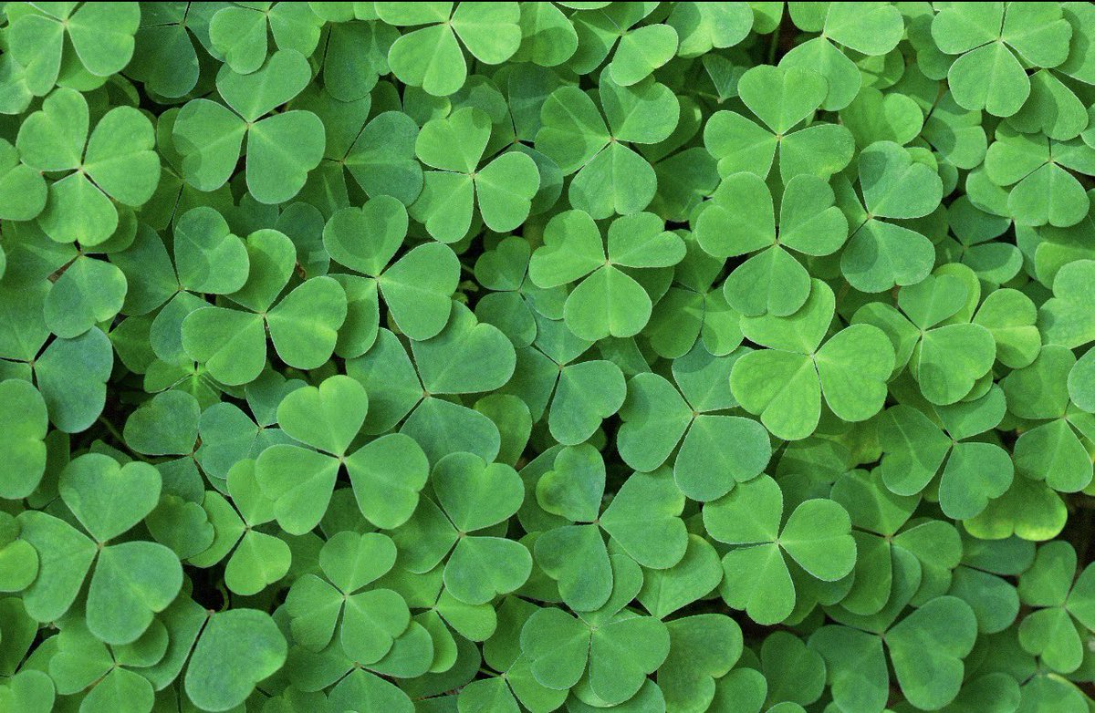 Online Graduate Studies in Palliative Care tweet media