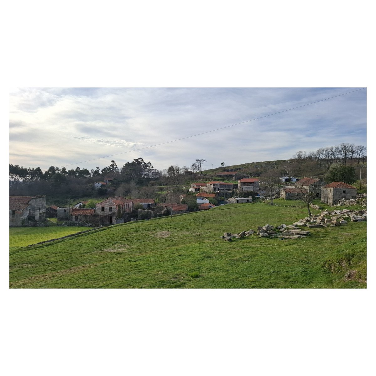 Fran García tweet media