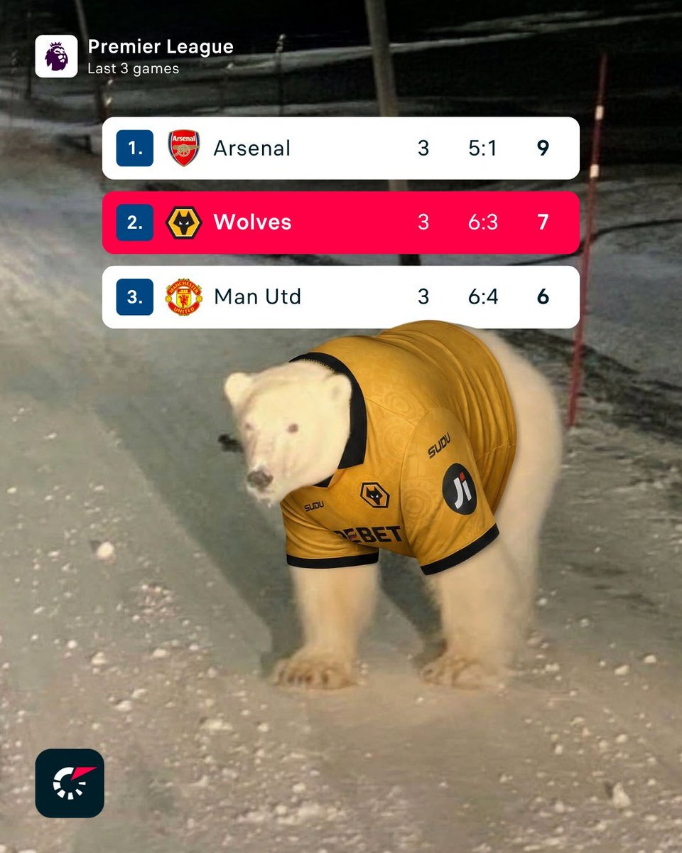 Wolves Actu France 🐺🇫🇷 tweet media