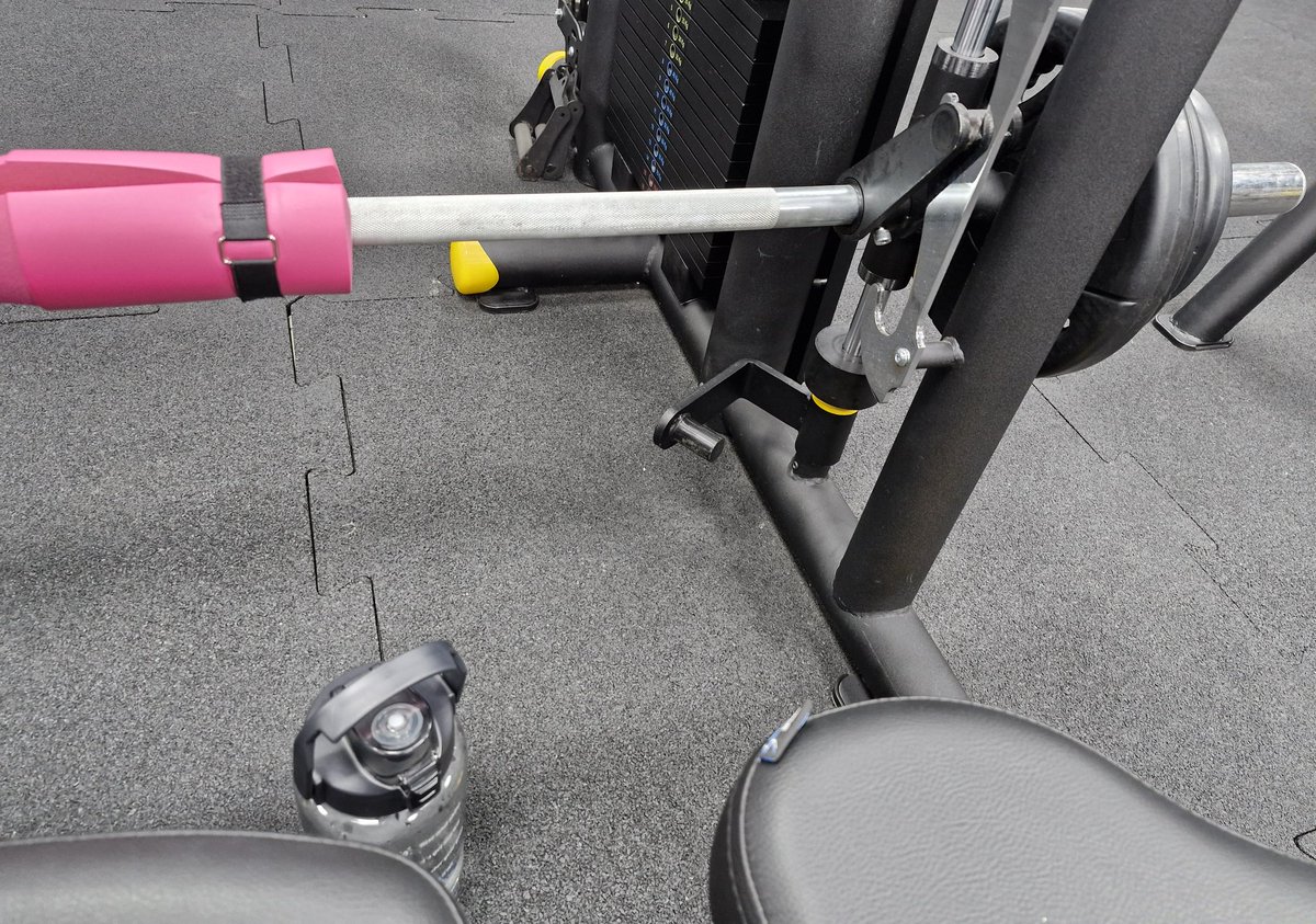 geçmiş olsun celal şengör ve timothee chalamet