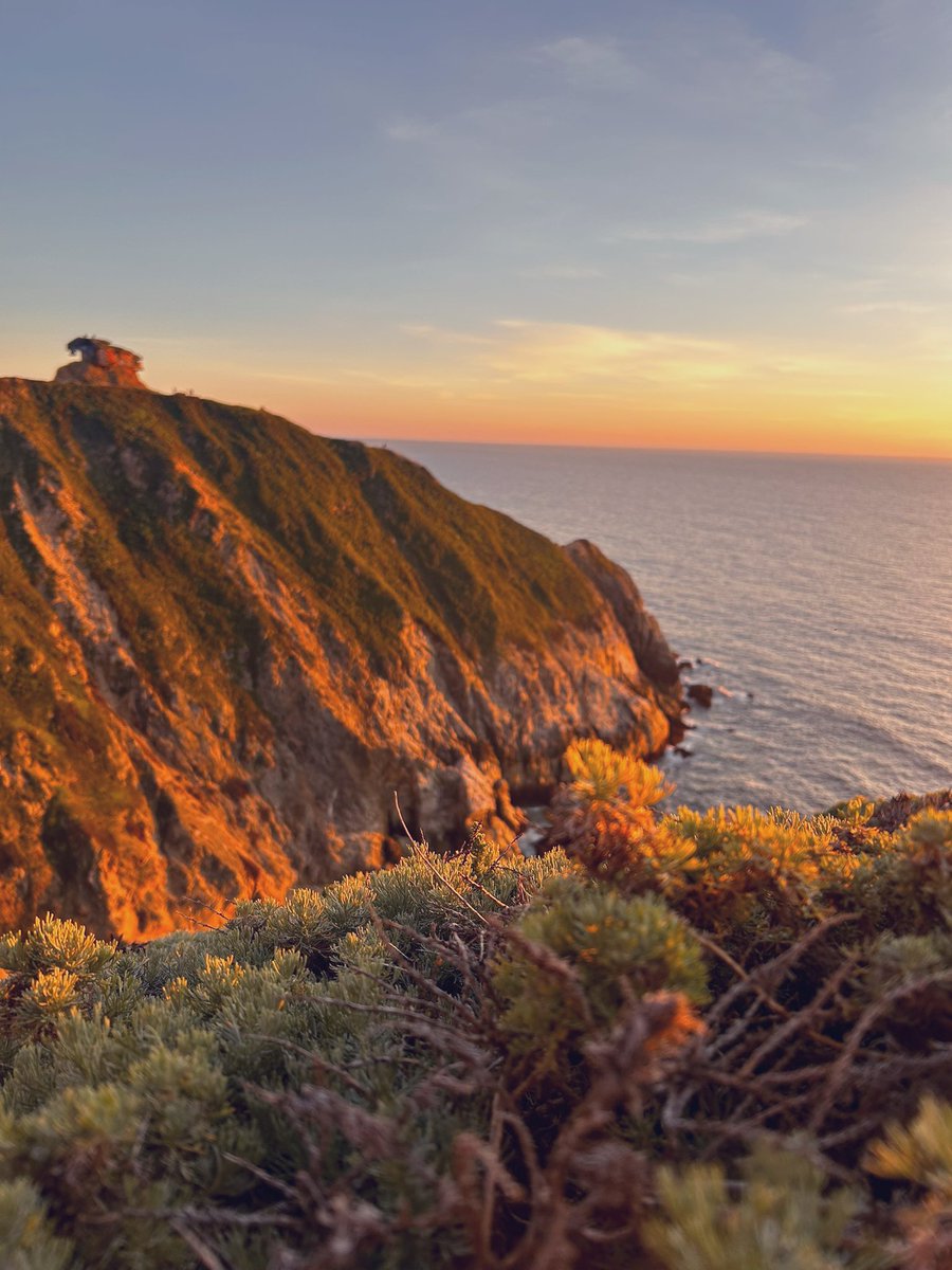 Aspen goes birding⛸️ tweet media