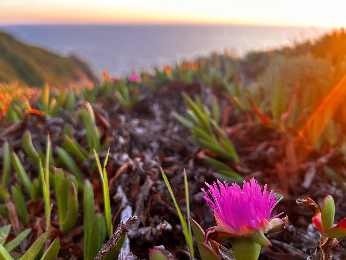 Aspen goes birding⛸️ tweet media