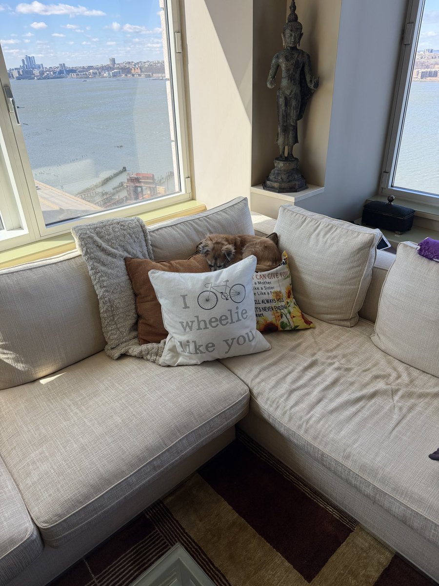 Robin Roberts tweet media