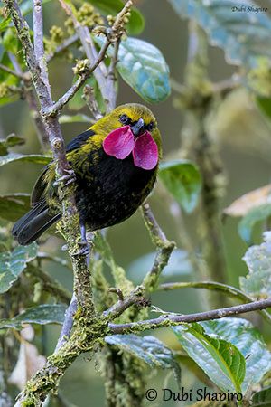 Derek Paterson tweet media