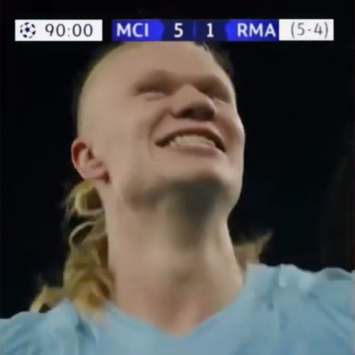 Berneese tweet media