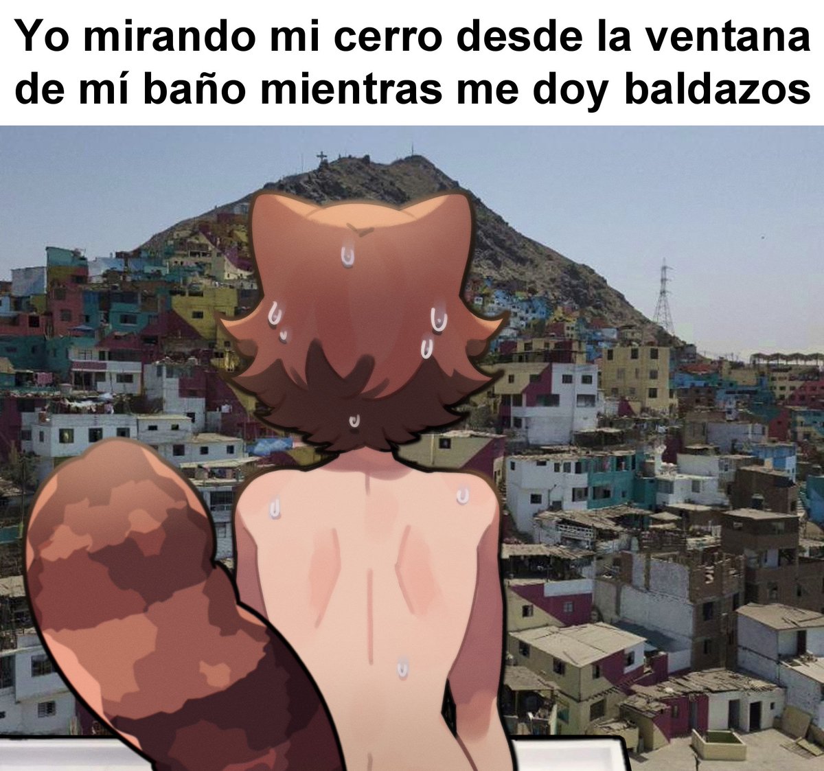 Rakkun 🦝🍀 tweet media