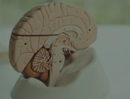 Kiki T. Bernawan tweet media