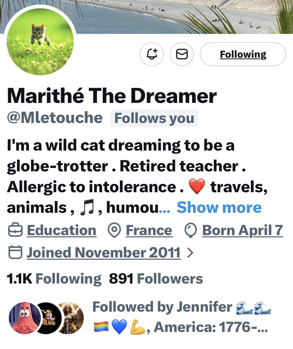 Turquoise Cat tweet media