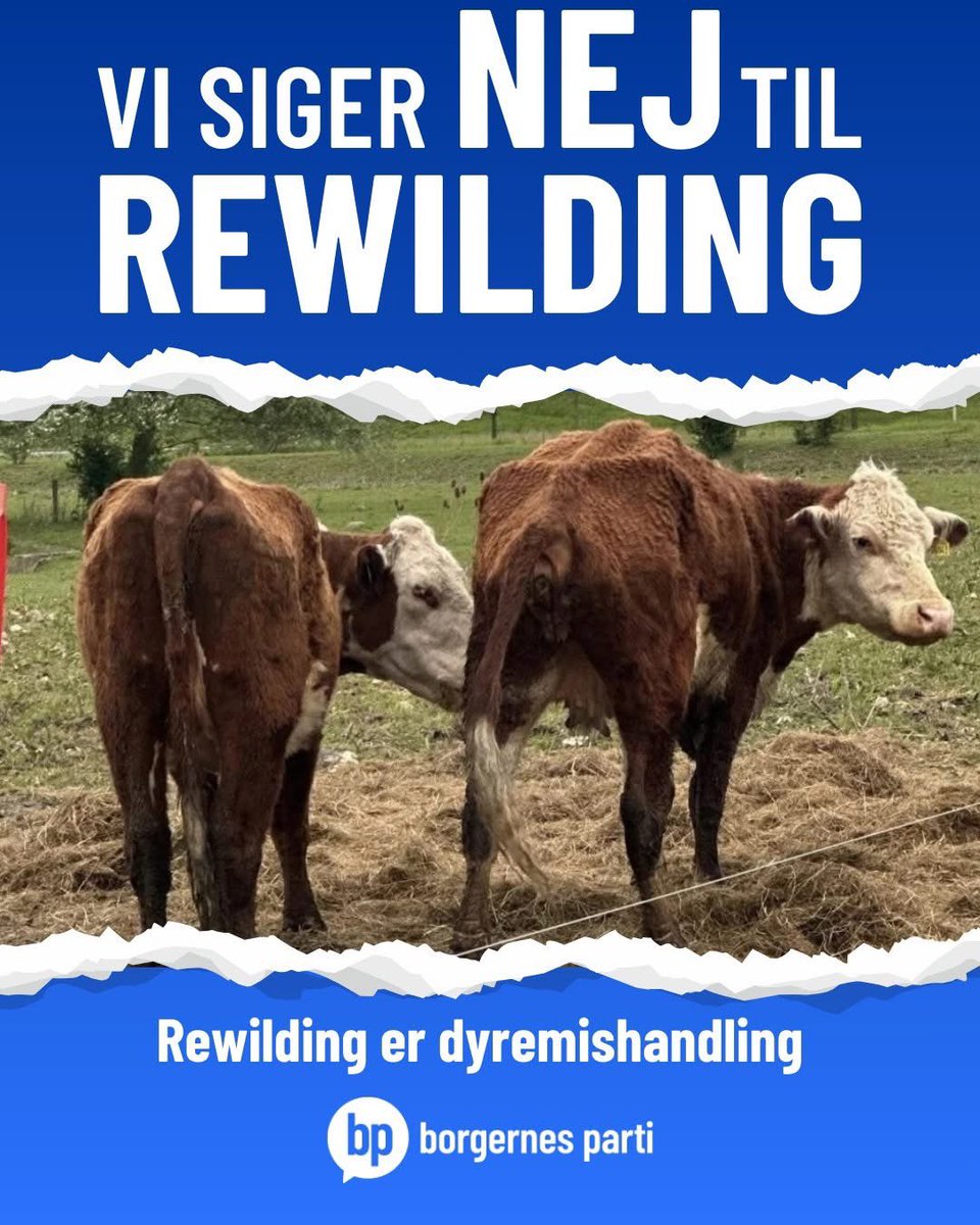 Nadja Natalie Isaksen tweet media