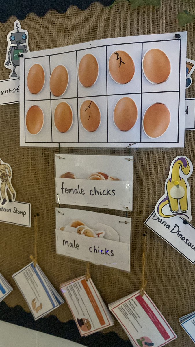 AlkringtonPS's tweet image. The countdown is over ⏳our #livingeggs have arrived in #nursery 🥚🪺🐥