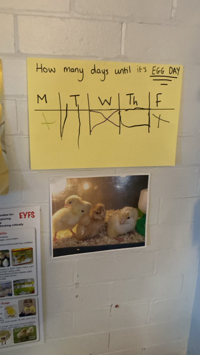 AlkringtonPS's tweet image. The countdown is over ⏳our #livingeggs have arrived in #nursery 🥚🪺🐥