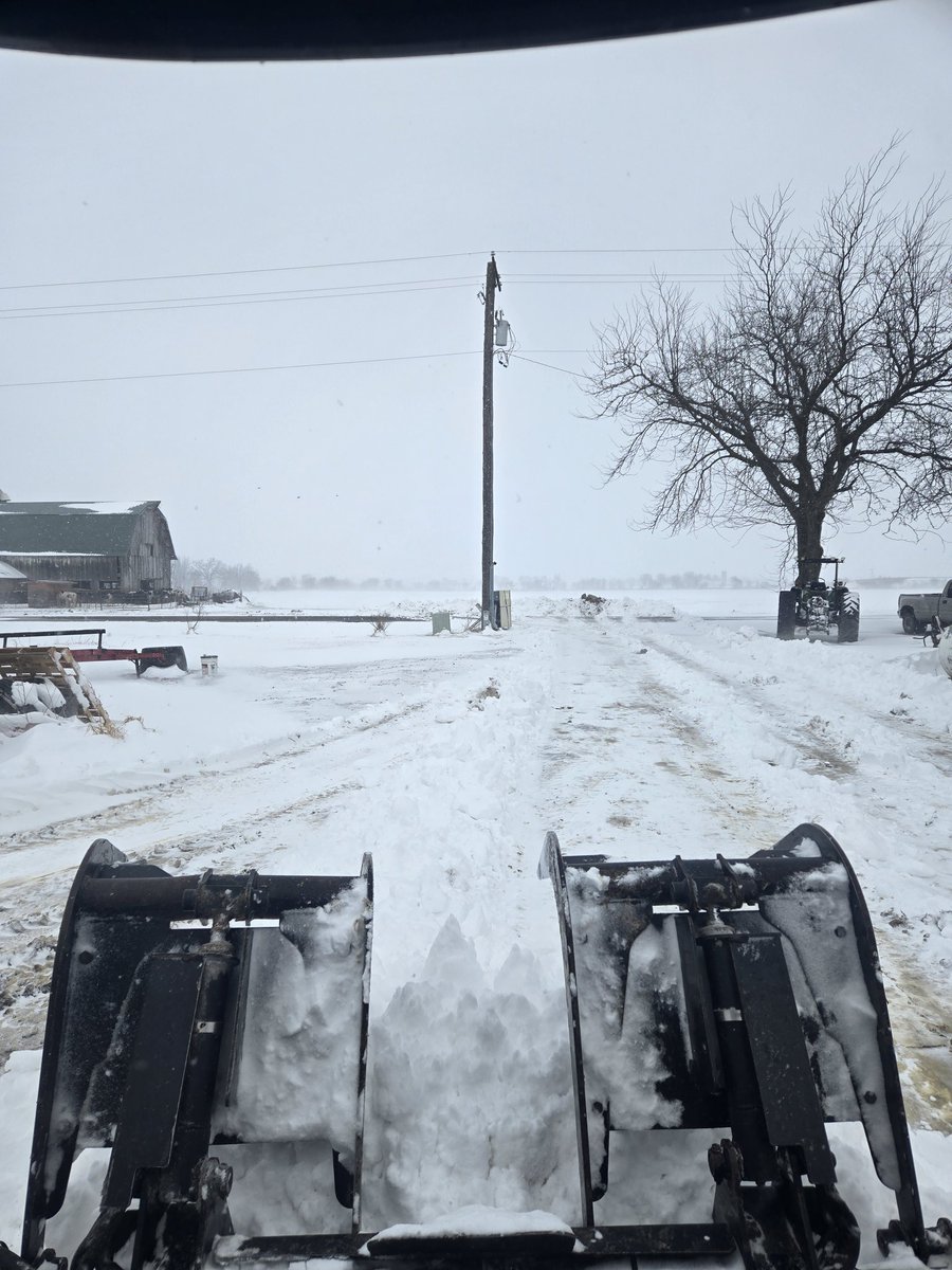 Adam Lasch tweet media