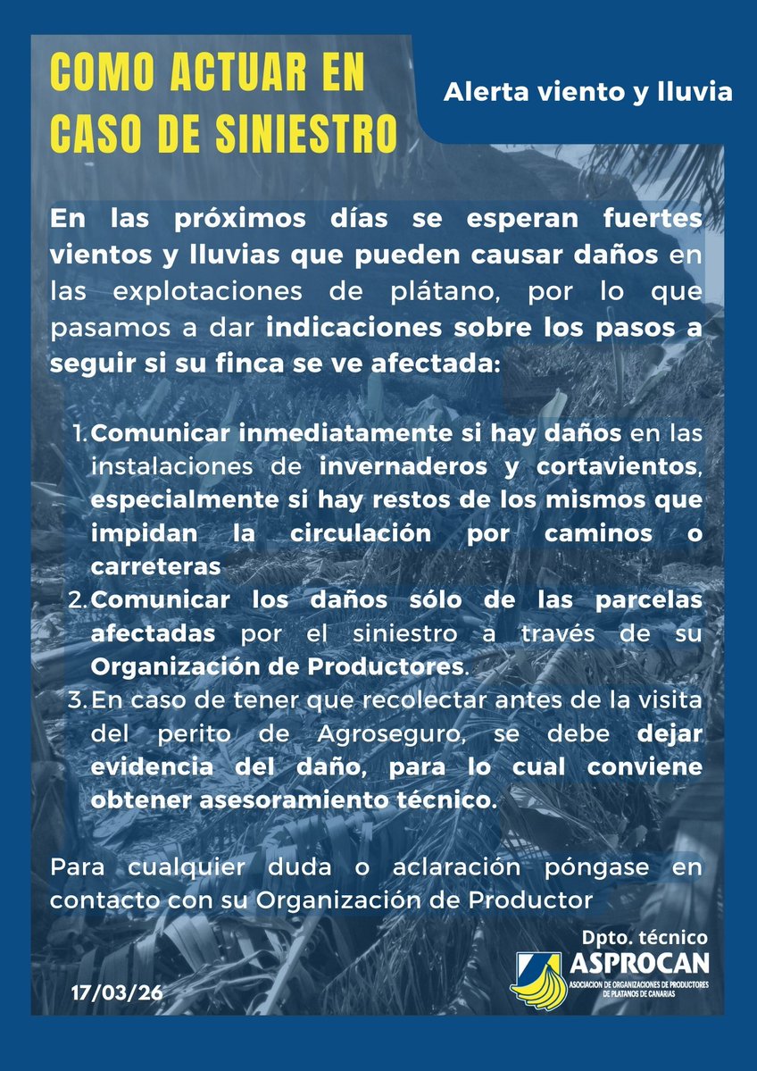 Asoc. de org de productores de Plátano de Canarias tweet media