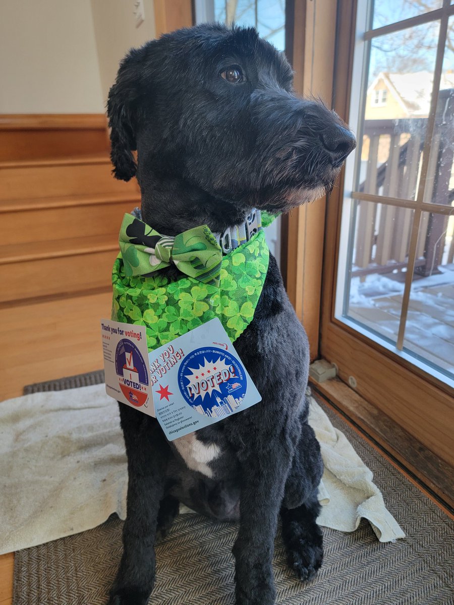 🇺🇸 Chicago EmmTee - Sgt. Deplorable. tweet media