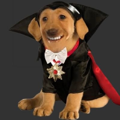 sarinha 📖 tweet media