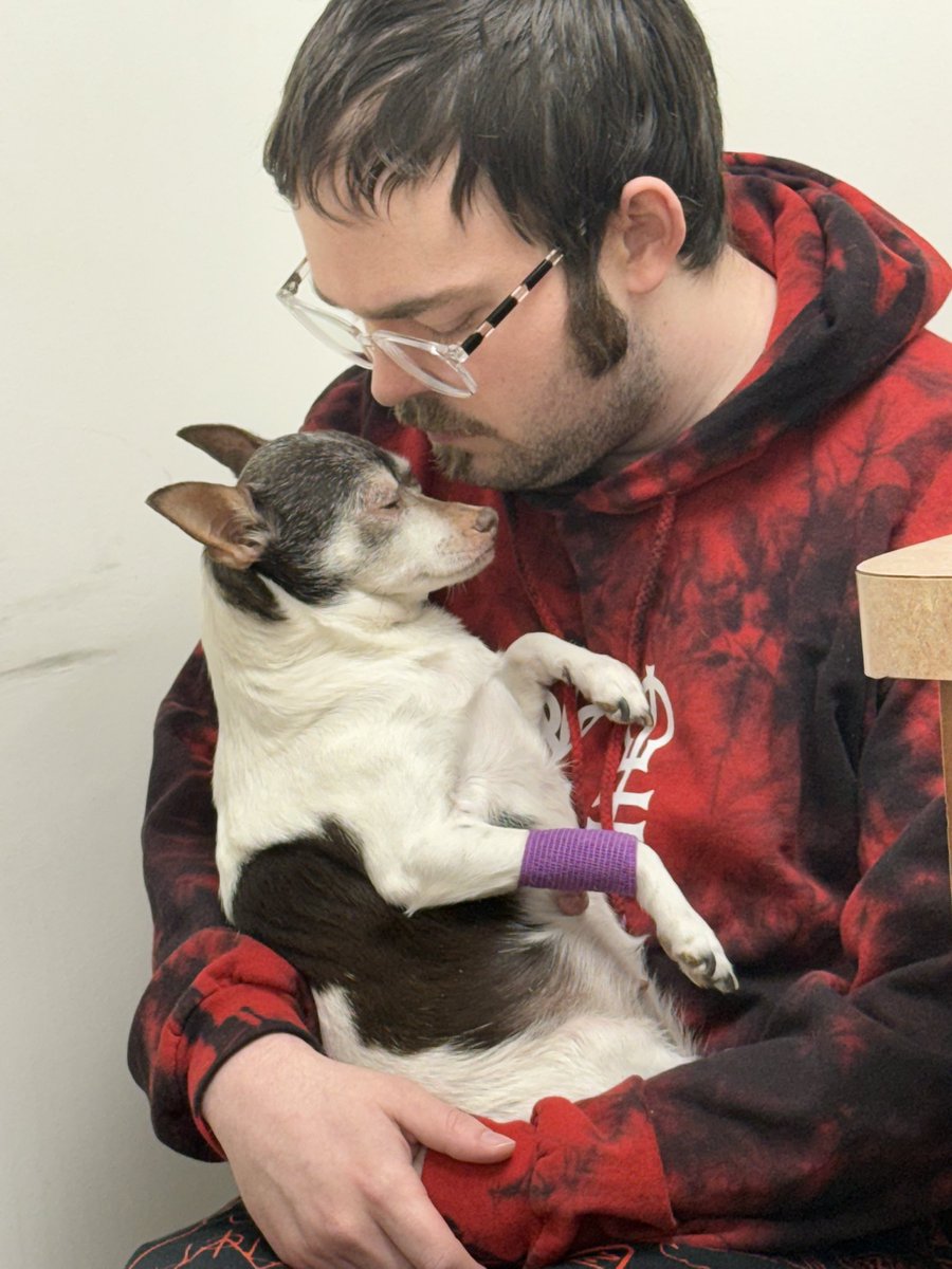 alex⁷ |-/ アレックス🎋 tweet media