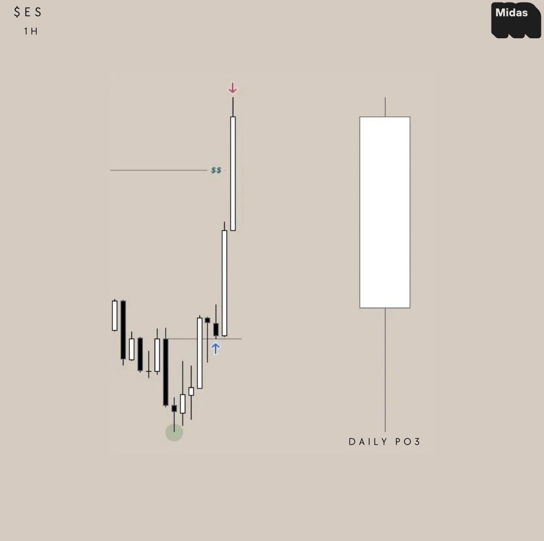 FrannyMidas tweet media