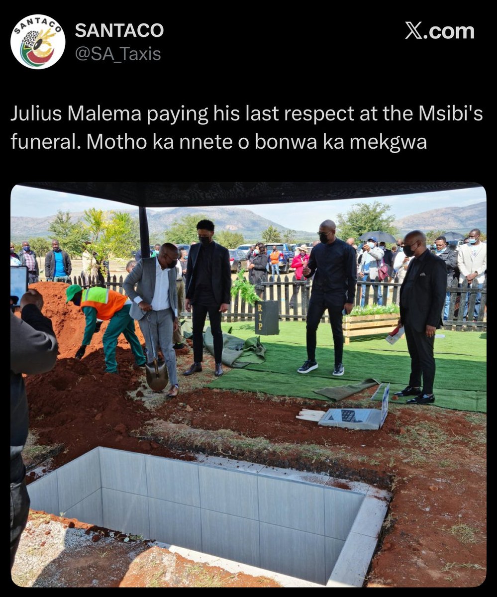 Dayimane tweet media