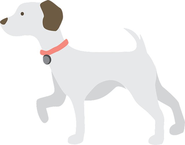 Simon Dees tweet media