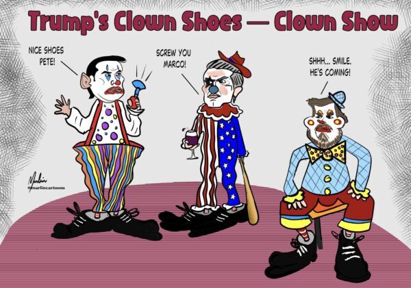 The Oklahoma Observer tweet media