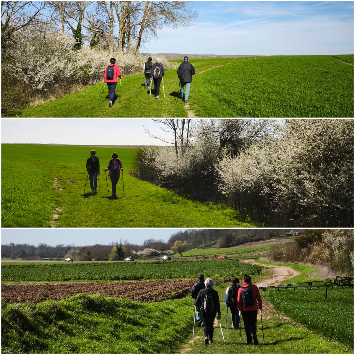 MarcheNordic78's tweet photo. Encore une belle boucle #marcheNordique de 7km, avec CHA en #plaineDeVersailles autour de #chavenay... 
👉Le saviez-vous ?
Les fameuses "arches de puits" du village de Chavenay...
👉https://t.co/5S593iQkTX
#clubSoSwing #sportMarlyLeRoi https://t.co/VtTZpumKsj