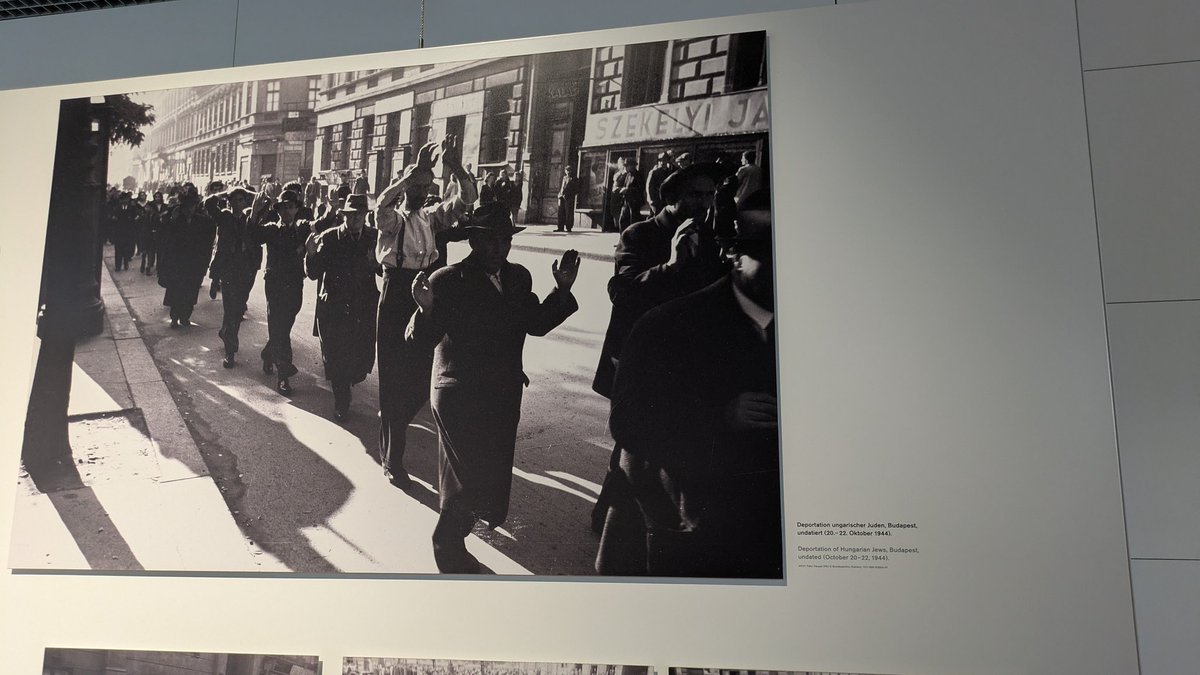 Dan Leal aka Porno Dan tweet media